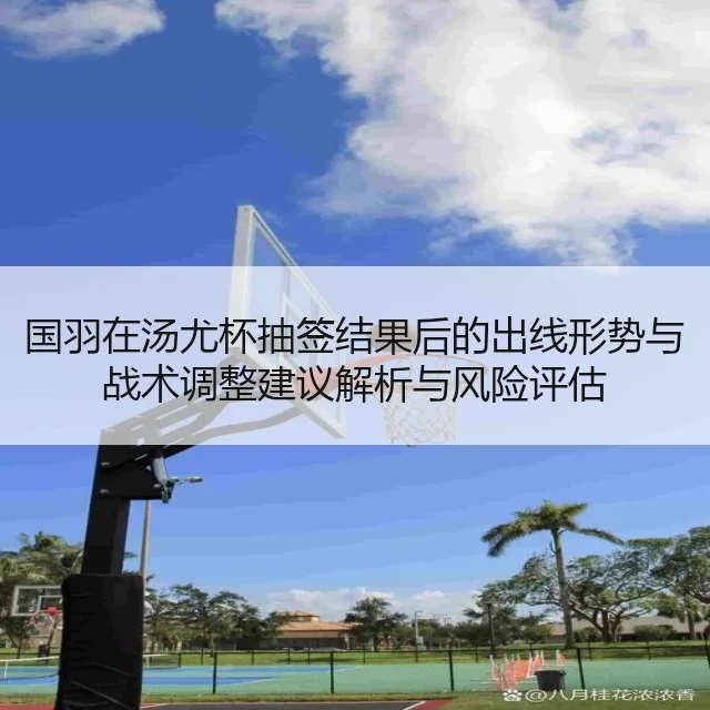 国羽在汤尤杯抽签结果后的出线形势与战术调整建议解析与风险评估（kaiyun.com）